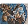 Image 3 : Large Dreamcatcher. Native wildlife painted on velvet.