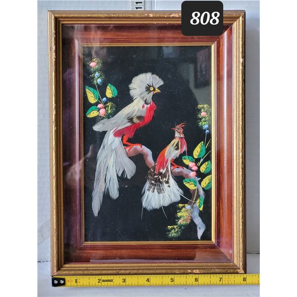 Framed Birds. Artist made from feathers.