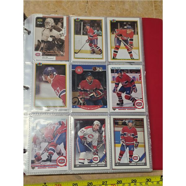 Binder of assorted hockey cards and mini jersey