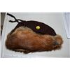 Image 1 : Nipawin sask mens beaver cap