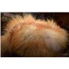 Image 3 : Fur fox hat- trappers- prince albert