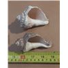 Image 7 : (15) Wade Figures and Vintage Natural Conch Shell.