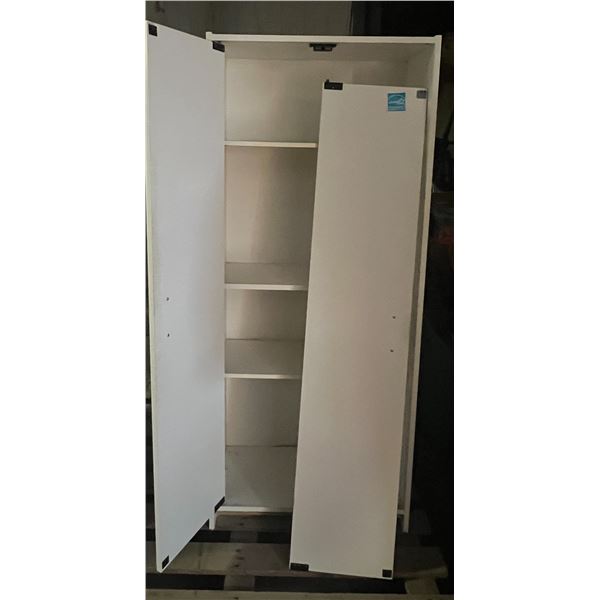 Cabinet 25" x 12" x 60" H