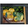 Image 3 : Pumpkin Wall Décor Plaque (Excelent Condition)