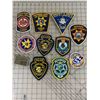 Image 1 : VARIOUS LAW ENFORCEMENT PATCHES