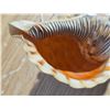Image 3 : Caribbean tulip shell lamp