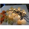 Image 2 : 500.  HALLOWEEN LIGHTS