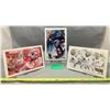 Image 1 : 3x jumbo hockey cards: Patrick Roy; Yzerman & Vancouver Canucks