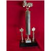 Image 1 : TROPHY 15.5" tall with Jeep topper.