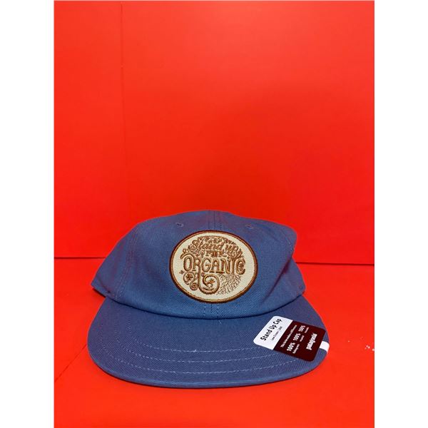 Patagonia Stand Up Alpine Icon Funfarer Cap made of 100% organic cotton canvas