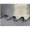 Image 2 : 24 INCH SAW MILL BLADE