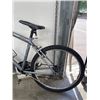 Image 2 : GREY CARERRA BIKE