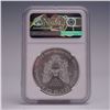 Image 2 : 2020 (P) American Silver Eagle Emergency Production NGC Graded MS 69