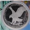 Image 4 : 2022-W American Silver Eagle Type 2 Dollar NGC Graded PF70 Ultra Cameo FDOI