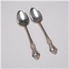Pair of Oneida Sterling Silver Teaspoons, Afterglow