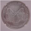 Image 4 : 2006 American Silver Eagle One Dollar Coin NGC Graded MS 69