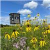 Image 2 : Native Prairie Seeding and Planting - Cedar Hollow Conservation