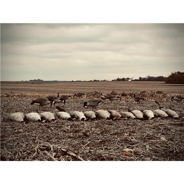 2-Day Goose Hunt for 6 - Blackleg Outfitters- Waukee, Iowa