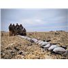 Image 3 : 2-Day Goose Hunt for 6 - Blackleg Outfitters- Waukee, Iowa