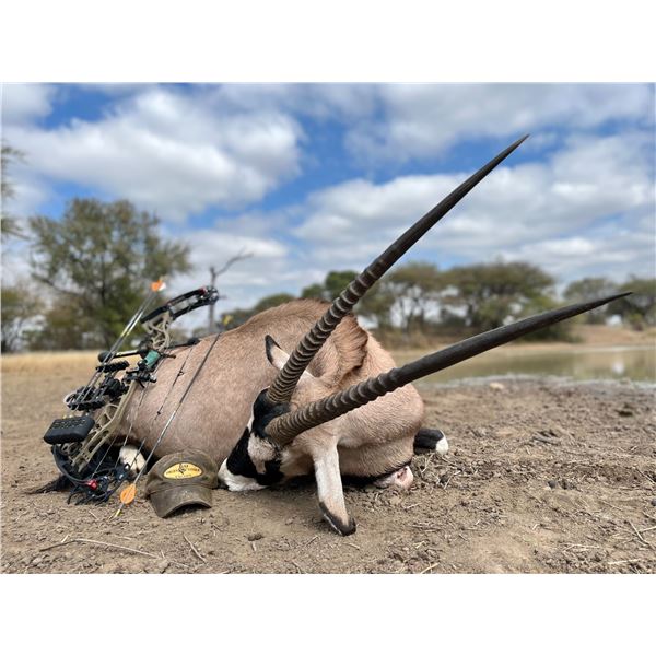 7-Day African Hunt for 2- Dries Visser Safaris