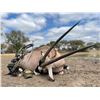 Image 1 : 7-Day African Hunt for 2- Dries Visser Safaris