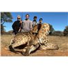 Image 2 : 7-Day African Hunt for 2- Dries Visser Safaris
