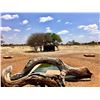 Image 3 : 7-Day African Hunt for 2- Dries Visser Safaris