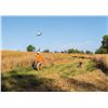 Image 5 : Iowa Pheasant Hunt for 4 - Heritage 1865