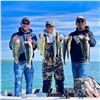 Image 5 : Walleye, Pike and Smallmouth Fishing Trip in North Dakota - Cold Water Outfitters