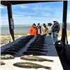 Image 6 : Walleye, Pike and Smallmouth Fishing Trip in North Dakota - Cold Water Outfitters