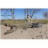 Image 1 : South African Crocodile Hunt - Signature Adventures