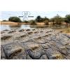 Image 5 : South African Crocodile Hunt - Signature Adventures