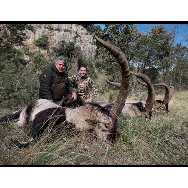4 Day Combination Hunt in Spain - La Espadella