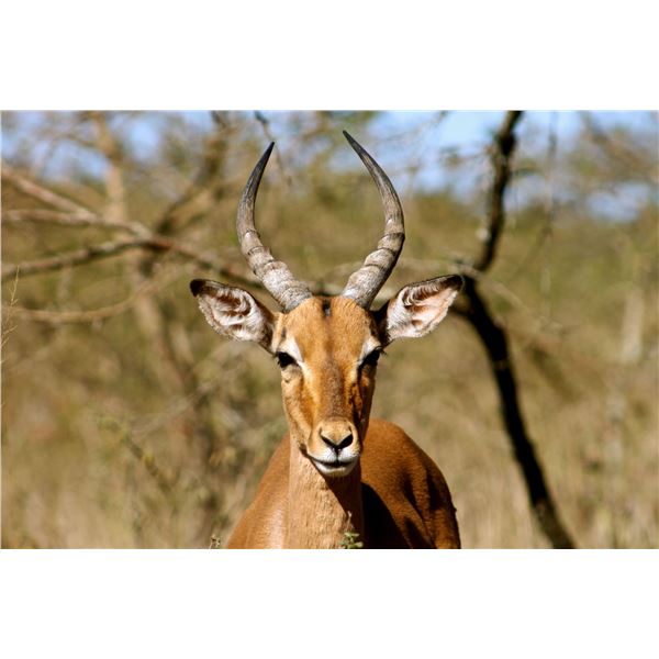 7-Day South African Safari - Deko Safaris