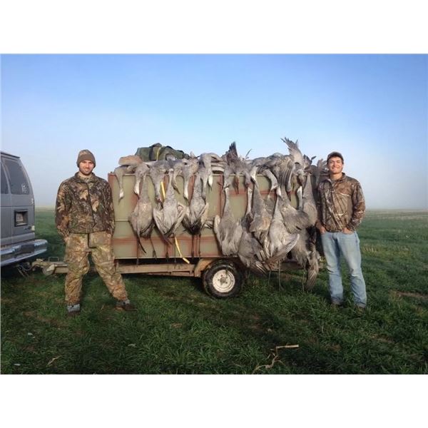 Texas Sandhill Crane Hunt for 2 - Safari Unlimited
