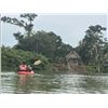 Image 1 : Belize Jungle Adventure - Jungle River Fishing & Jungle Adventure Excursion