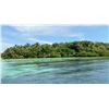 Image 2 : Belize Jungle Adventure - Jungle River Fishing & Jungle Adventure Excursion