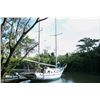 Image 7 : Belize Jungle Adventure - Jungle River Fishing & Jungle Adventure Excursion