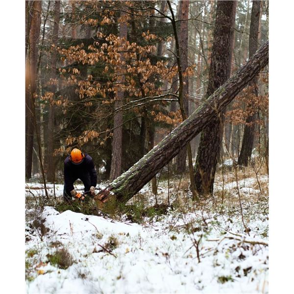 Timber Stand Improvement Package