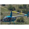 Image 3 : Texas Helicopter Pig Hunt for 2 - Helicopter Pig Hunting
