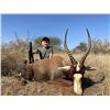 Image 3 : South Africa - Plains Game Safari for 2 Hunters, 10-day Hunt