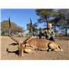 Image 4 : South Africa - Plains Game Safari for 2 Hunters, 10-day Hunt