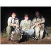 Image 7 : South Africa - Plains Game Safari for 2 Hunters, 10-day Hunt