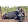 Image 5 : South Africa Cape Buffalo Bull Hunt 1 Hunter and 1 Non-Hunter, 5 Days