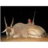 Image 4 : Namibia Plains Game Hunt for 2 Hunters and 2 Non-hunters for 10-Days