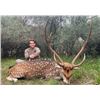Image 4 : Argentina 2026/27 Catena Safaris Argentina Northern Territories Mixed Bag Game Hunt