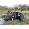 Image 5 : Argentina 2026/27 Catena Safaris Argentina Northern Territories Mixed Bag Game Hunt