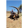Image 7 : South Africa 10 Day/9 Night Plains Game Sfari for 2 Hunters,Trophy Fee includes Cull Giraffe