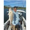 Image 3 : North Carolina Deep Sea Fishing Trip for 2 Guest for 3 days/3 nights Trip