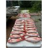 Image 4 : North Carolina Deep Sea Fishing Trip for 2 Guest for 3 days/3 nights Trip